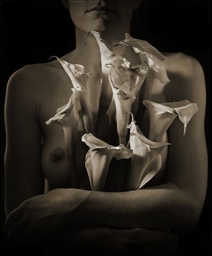 embracing   the   wounds