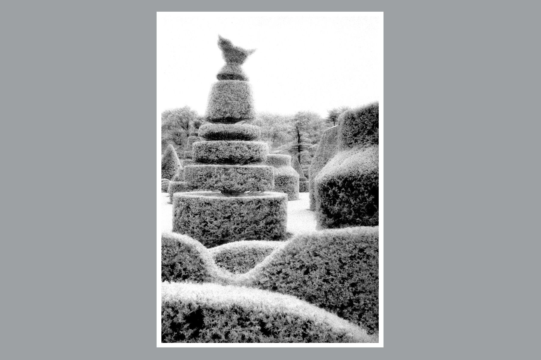 1topiary_vertical_birdy_new.jpg