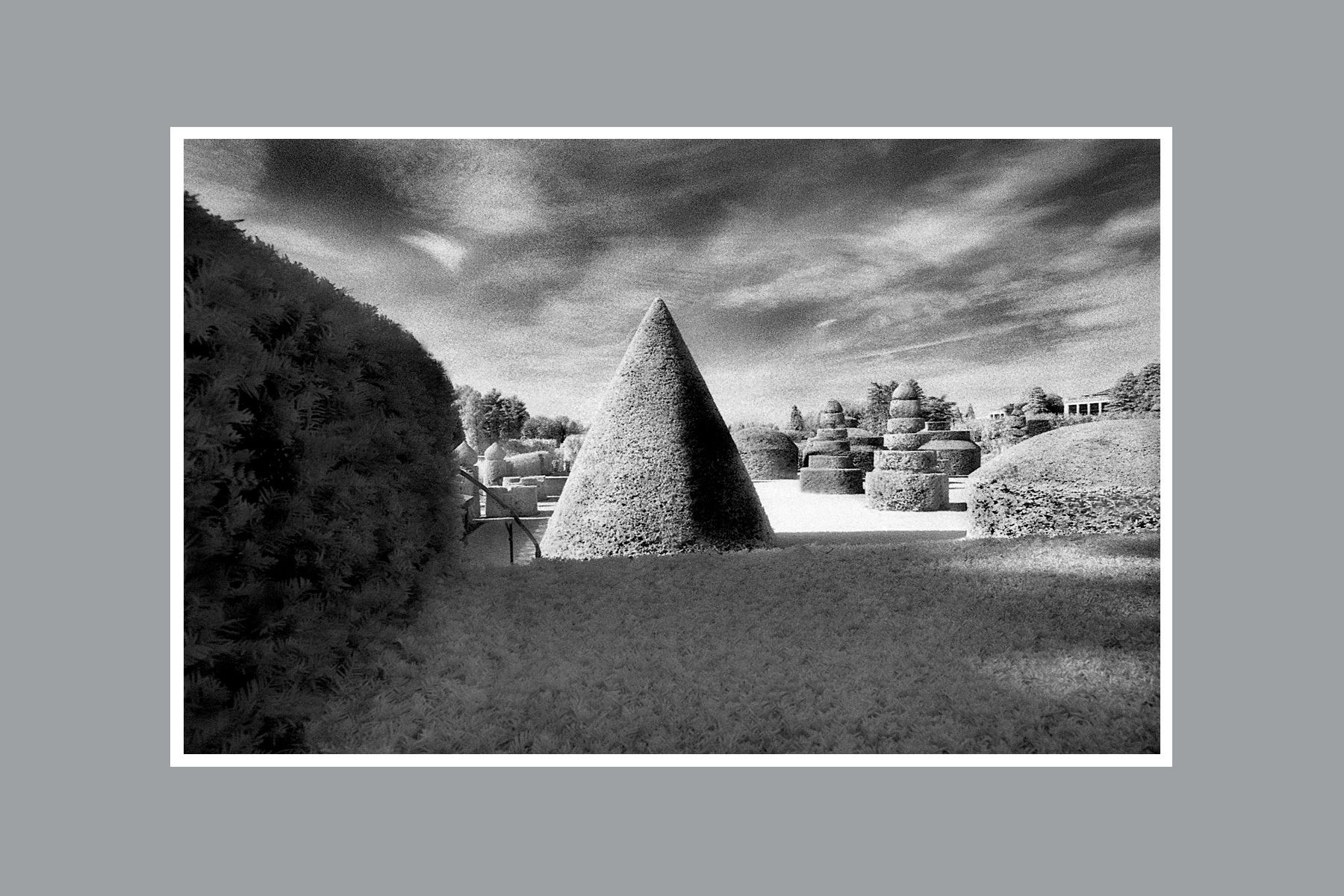 1topiary_horizontal_one_cone_new.jpg