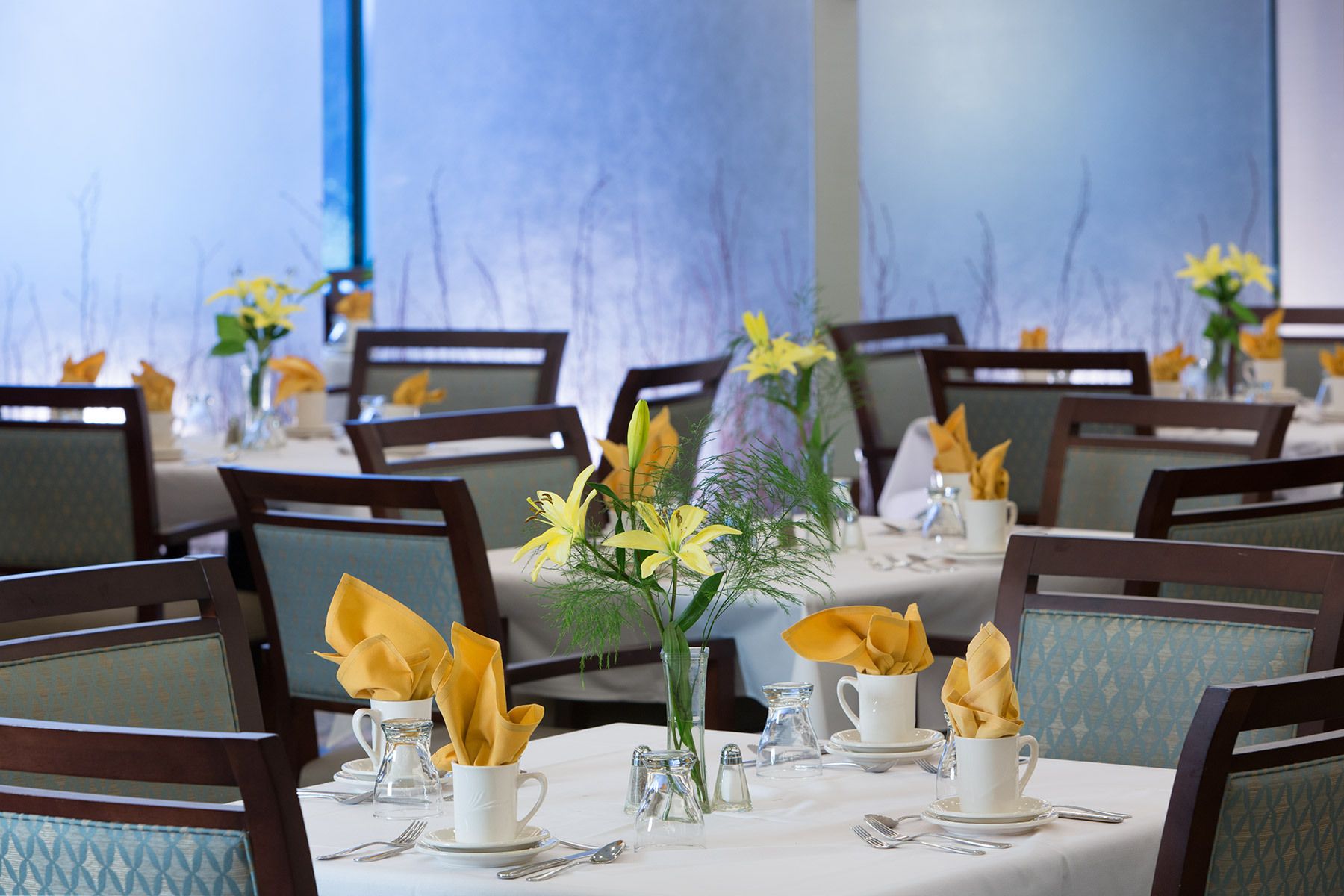 1charlestown_dinning_155