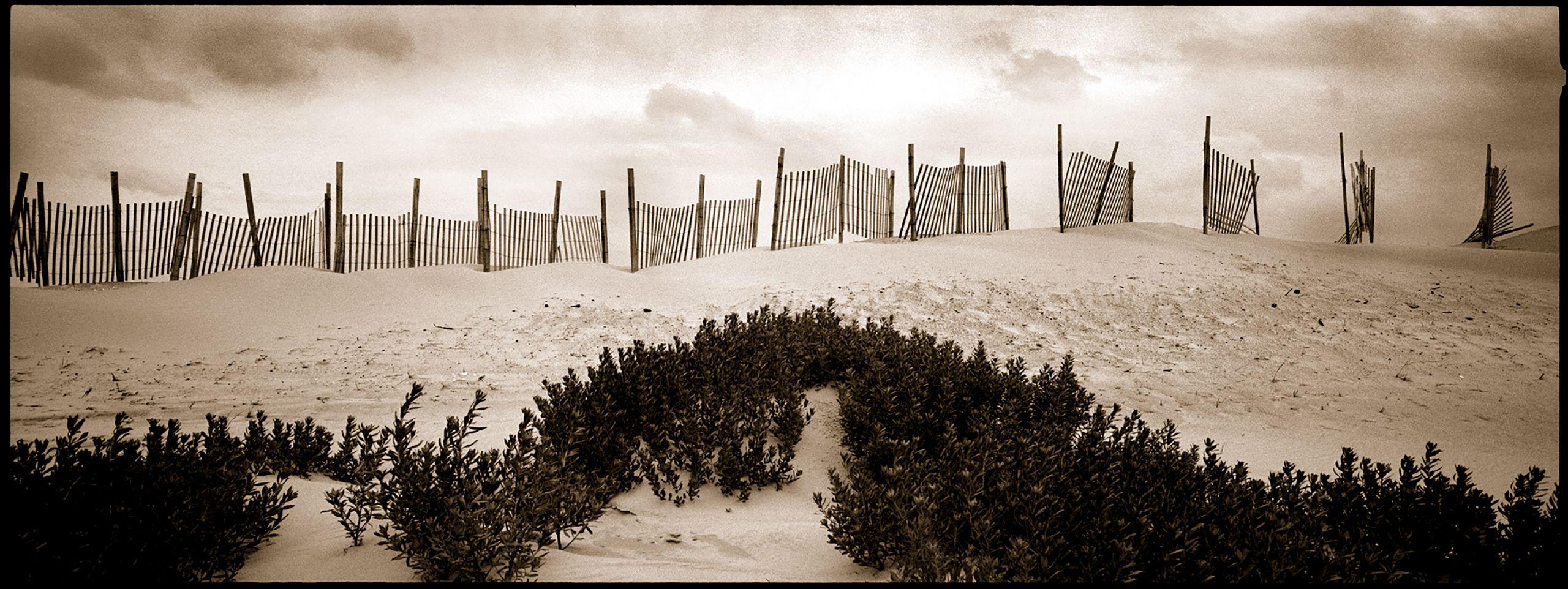 Broken-Fence-Duotone.srgb.jpg