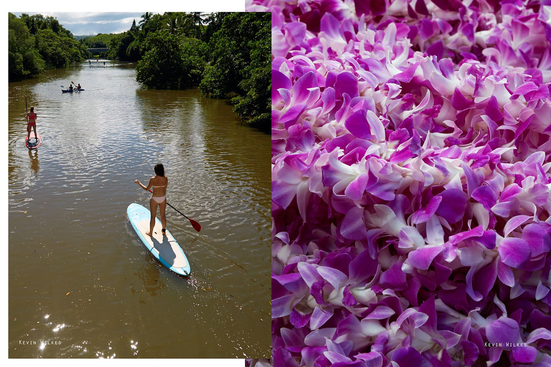 SUP. Haleiwa. Flower leis. Oahu