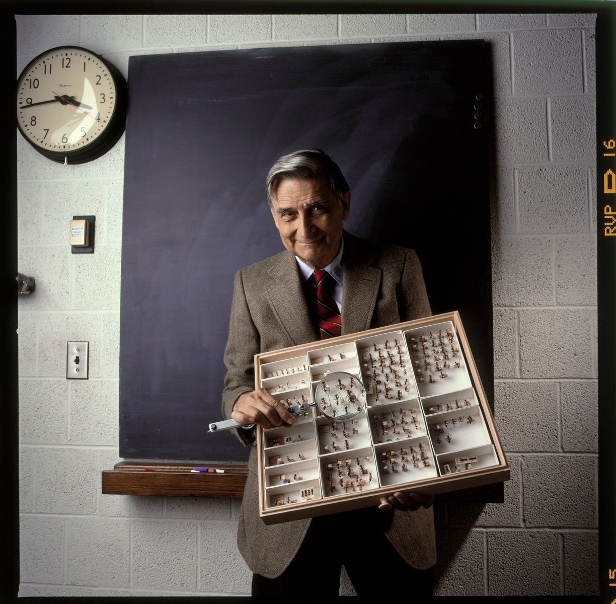 E.O. Wilson