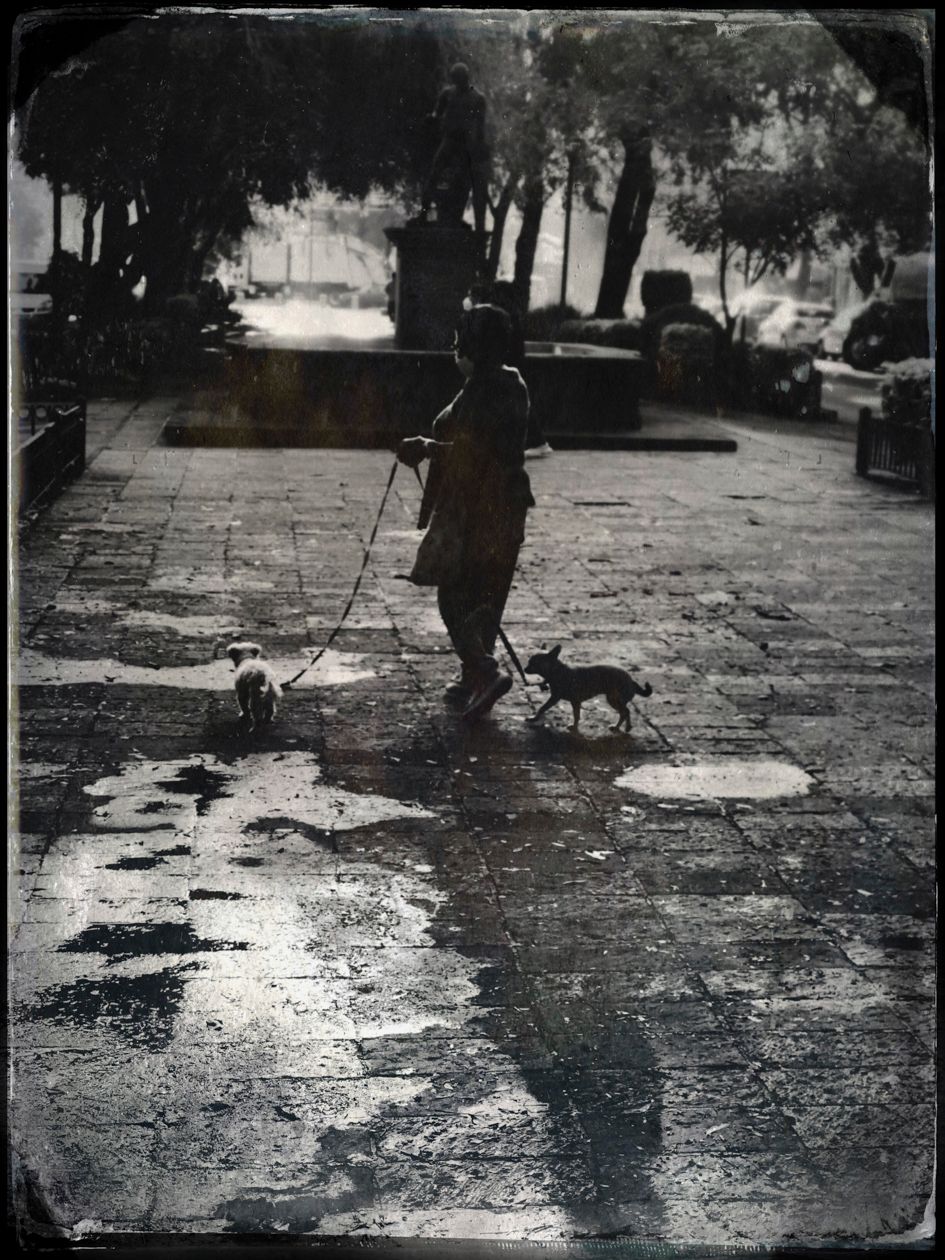 Early morning dog walker