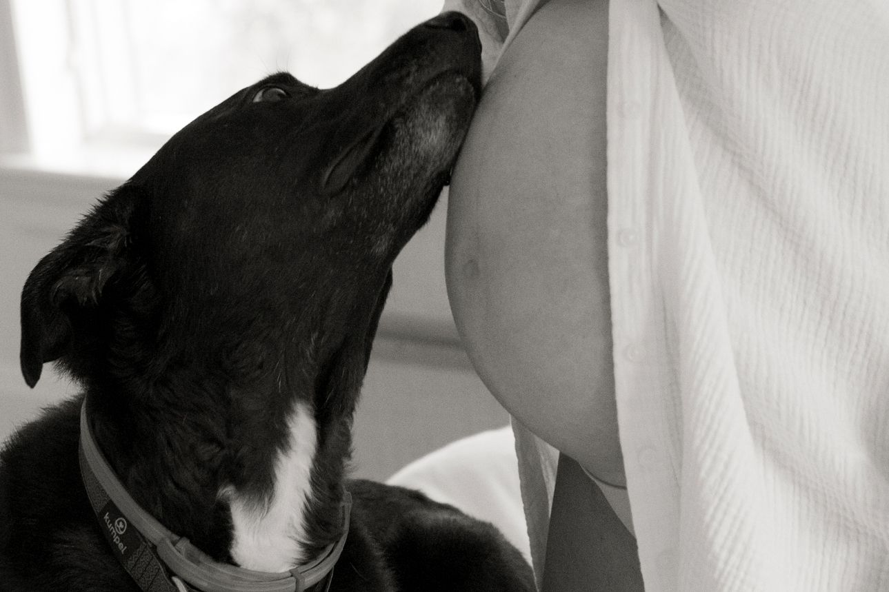 059_080_80LM_slideshow_0079jessicahornday2preg_crop24SLS_3707 copy 3.jpg