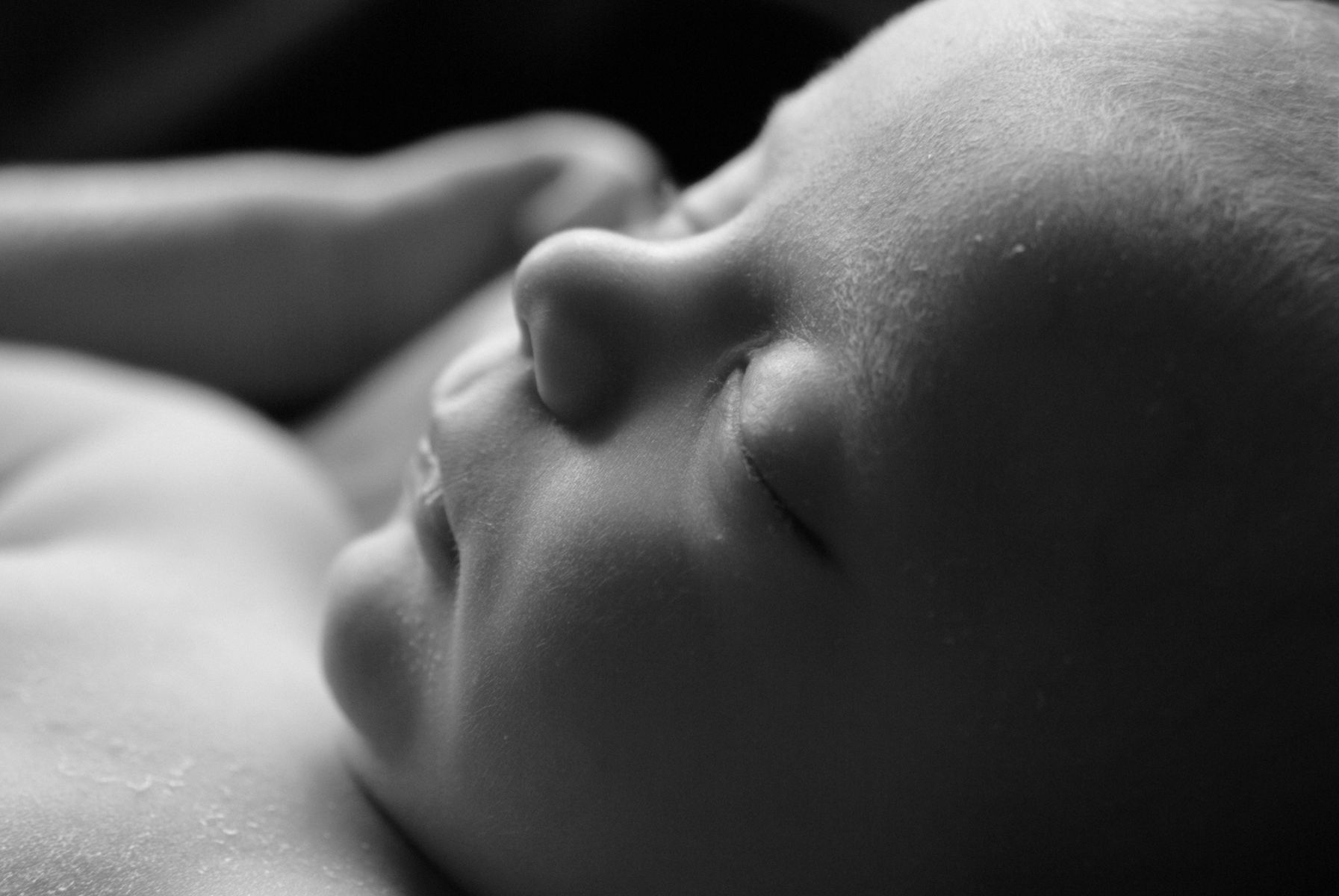 Sharon Schuster Newborn Photography