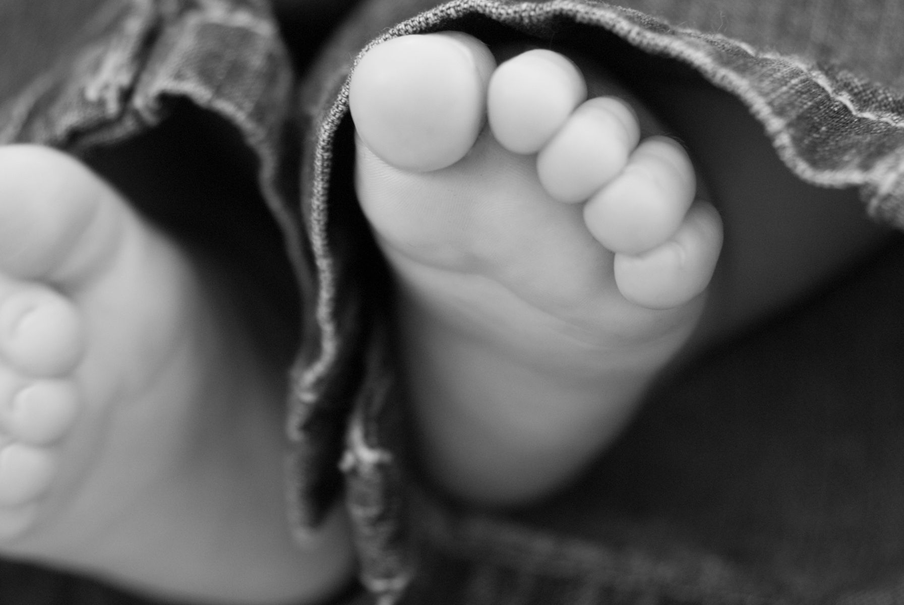 Sharon Schuster Newborn Photography