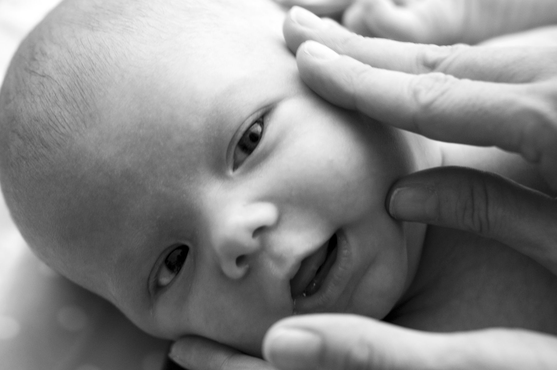 Sharon Schuster Newborn Photography