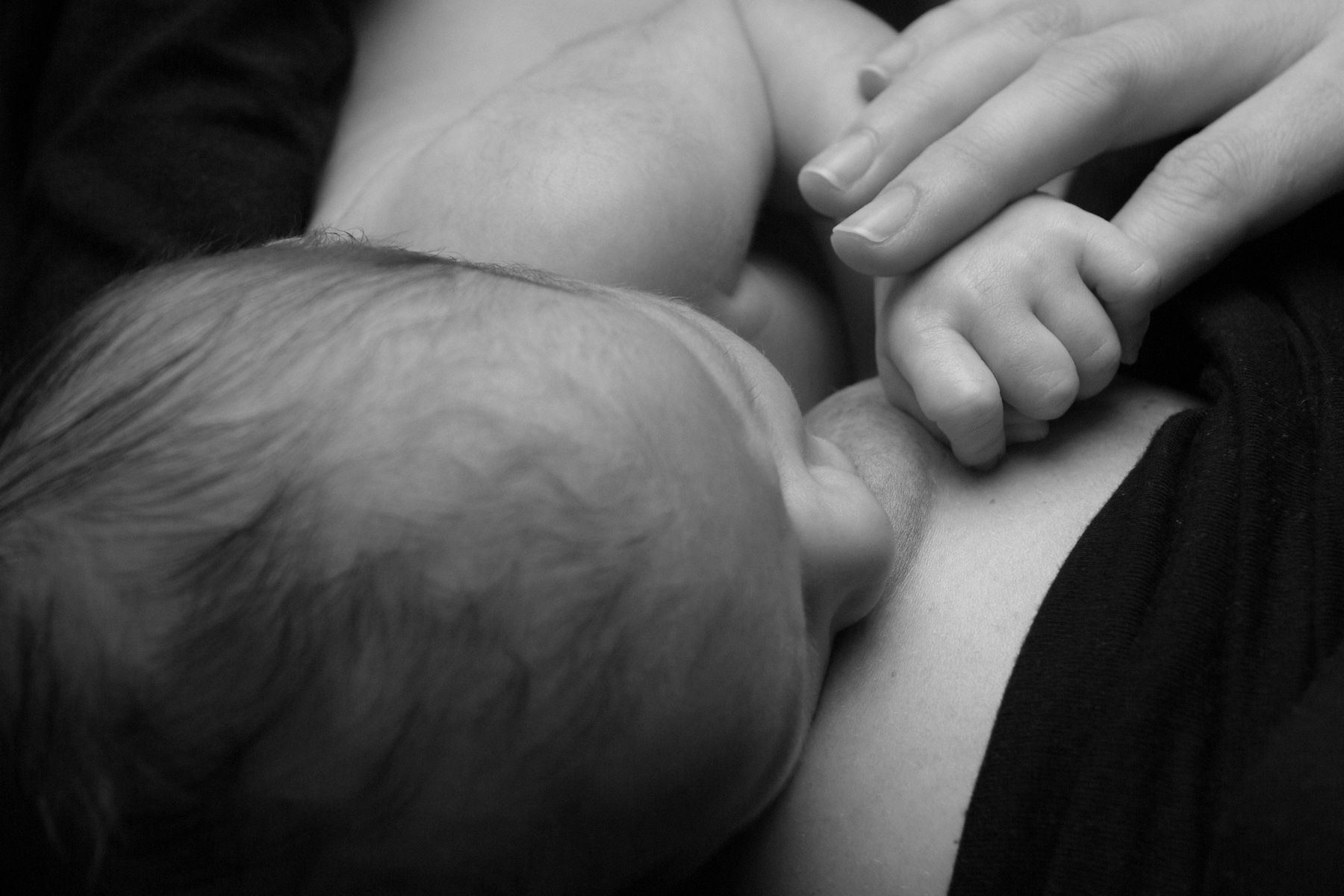 Sharon Schuster Newborn Photography