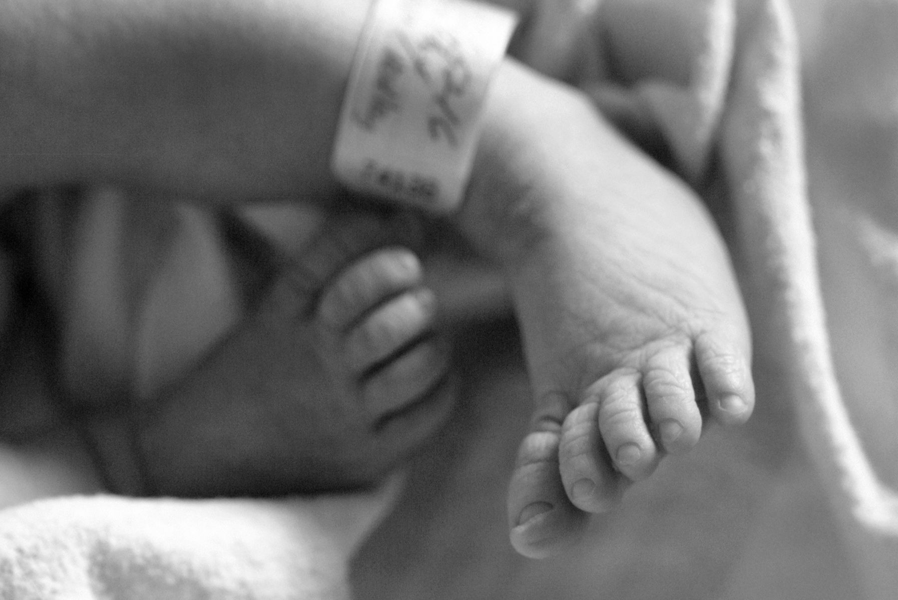 Sharon Schuster Newborn Photography