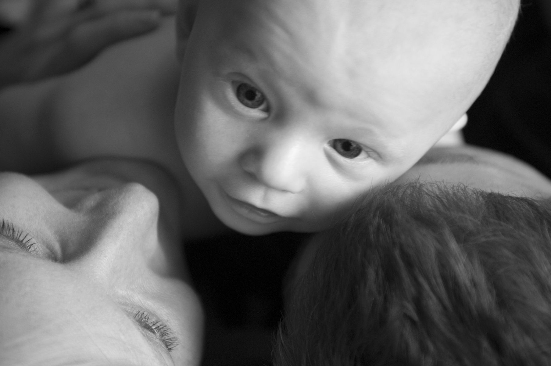 Sharon Schuster Newborn Photography