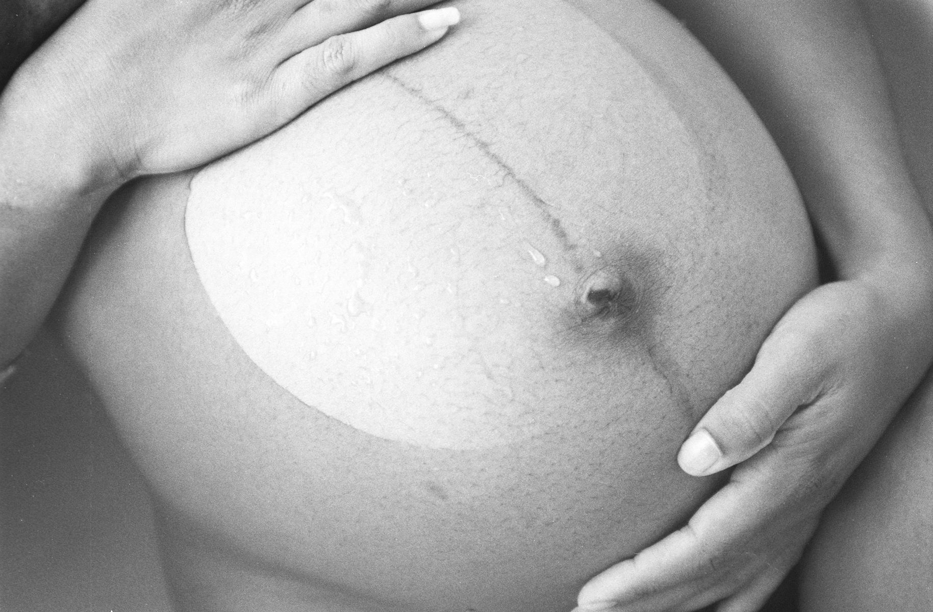 Sharon Schuster Pregnancy Portrait