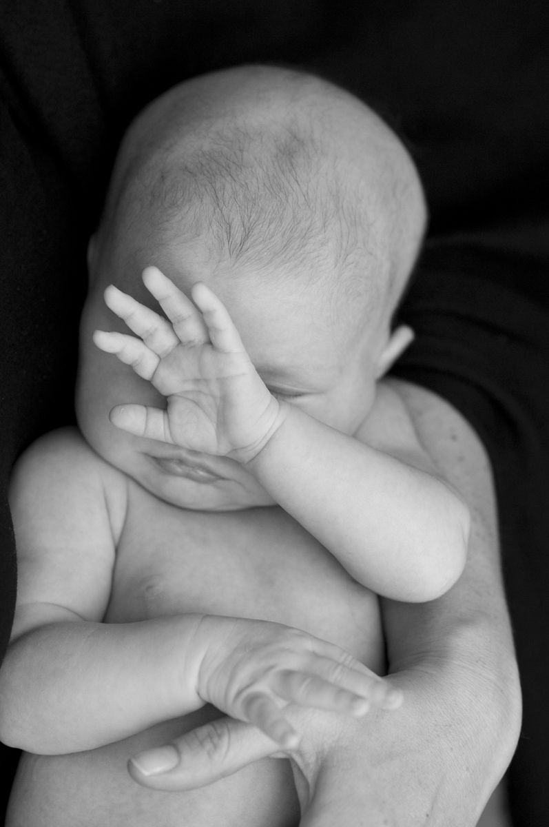 Sharon Schuster Newborn Photography