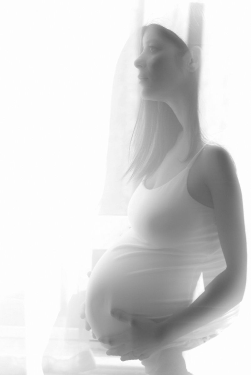 Sharon Schuster Pregnancy Portrait