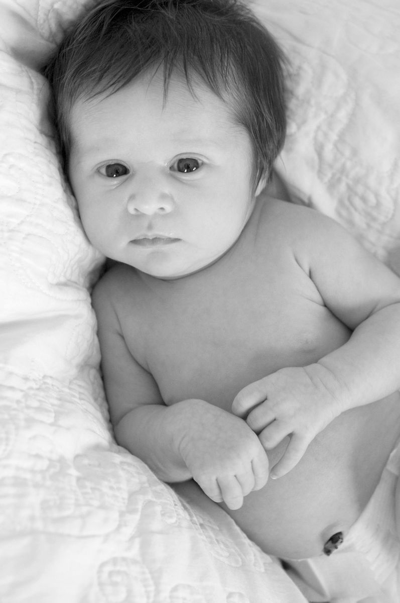 Sharon Schuster Newborn Photography