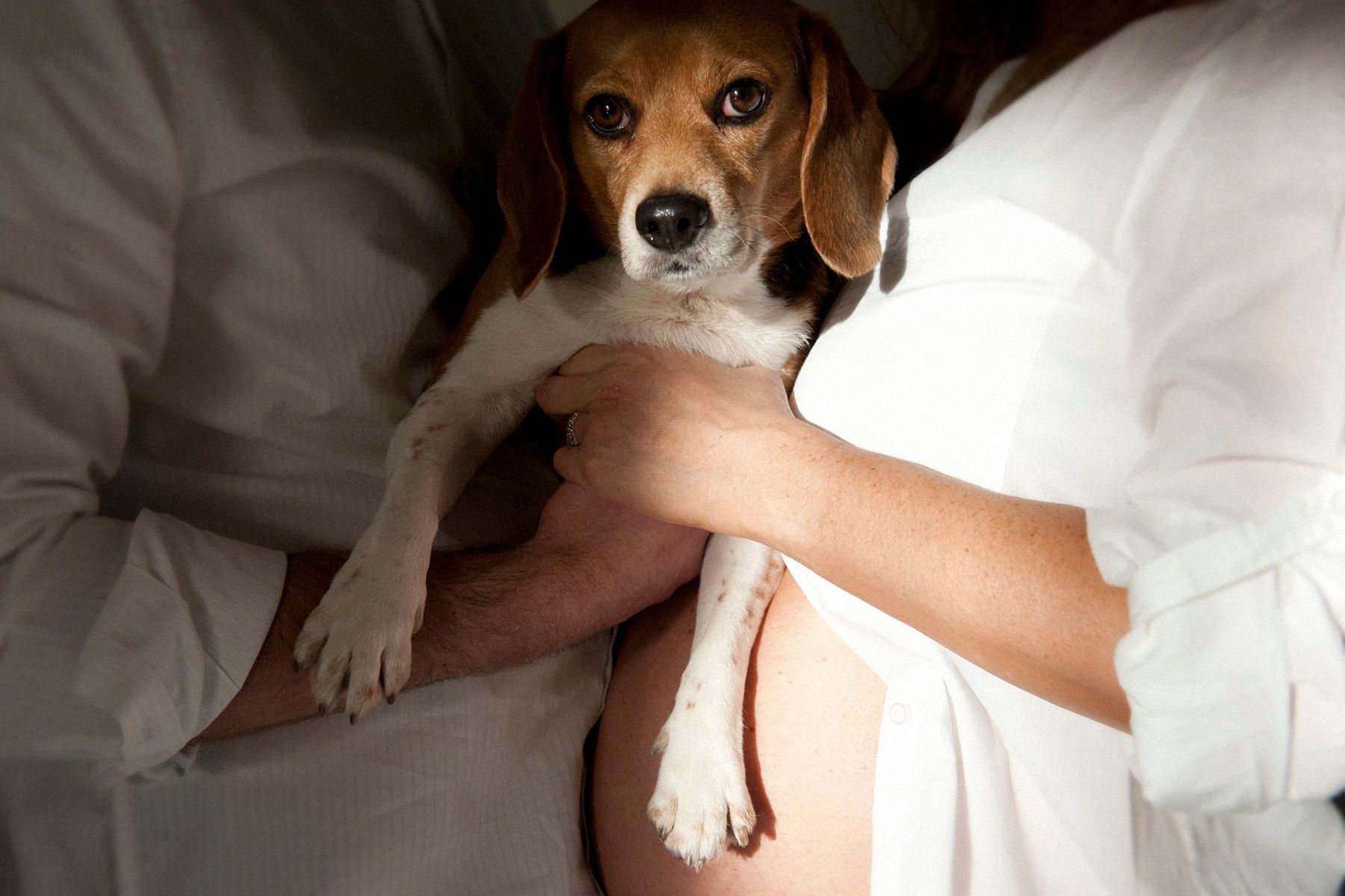 Sharon Schuster Pregnancy Portrait