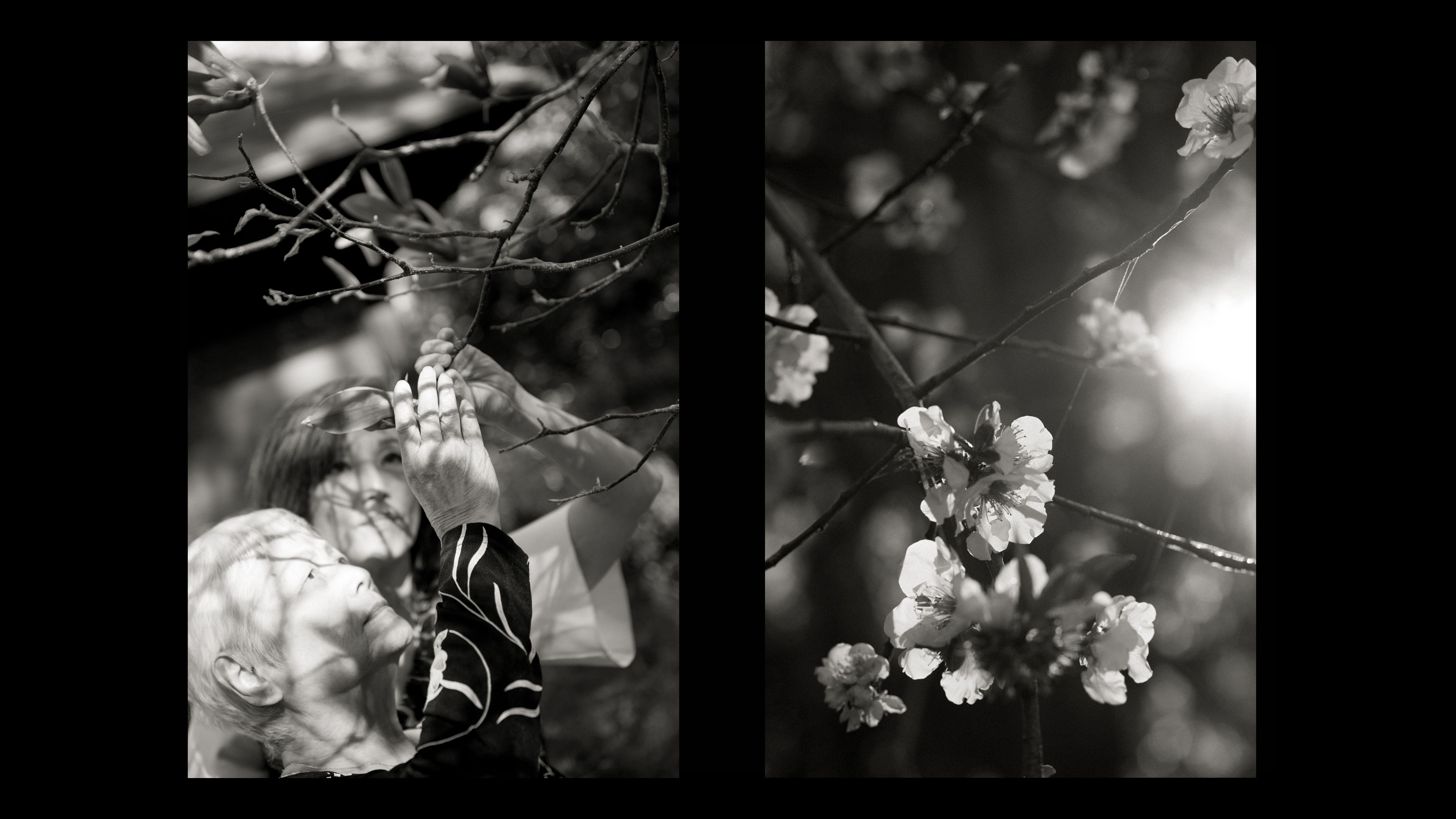 022_022_22LM_slideshow_AsakoTamlyntemplateDoubleH_Vcomp slideshow copy 2.jpg