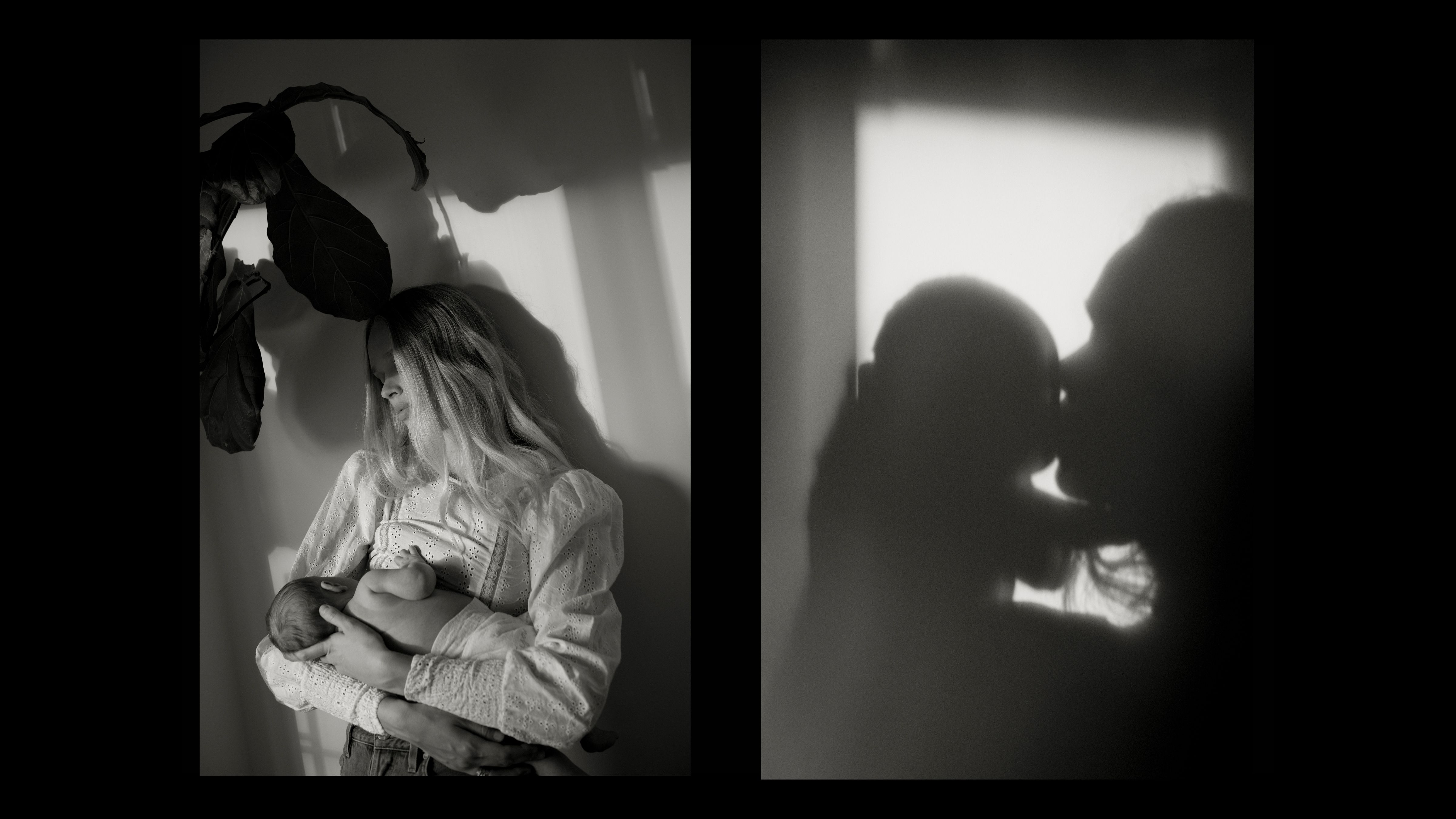 043_047_47LM_slideshow_brie comp shadow slideshow.jpg