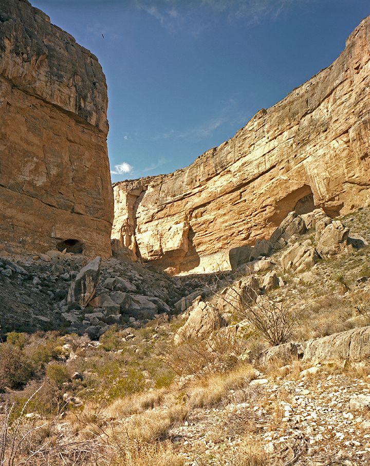 plate: 1097 plate: 1097