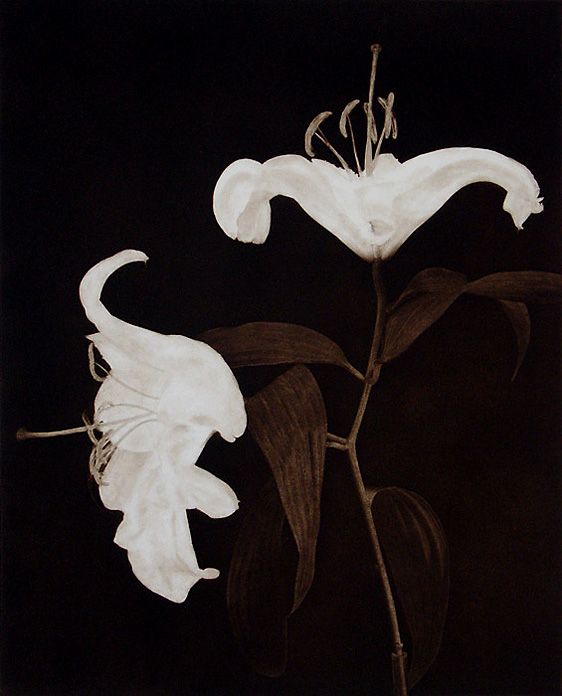 Casa Blanca I., from Suite II., 1992, traditional copperplate photogravure, plate: 18 7/8 x 15 1/2", paper: 30 x 22", edition 20 Suite II"Casa Blanca I" LB.jpg
