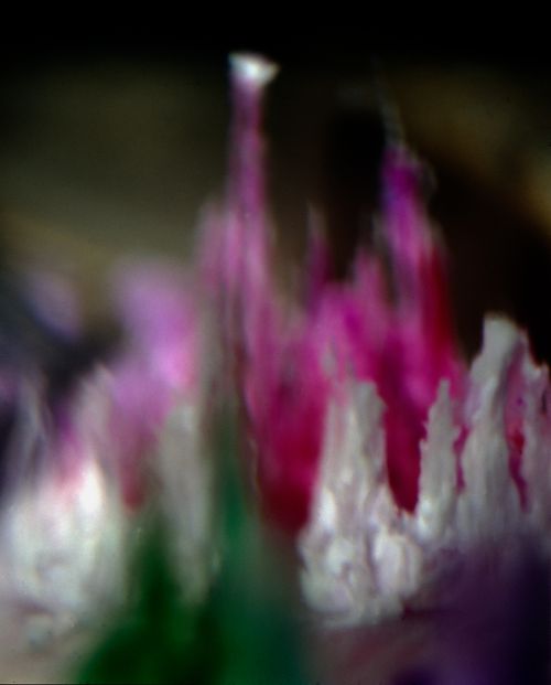 Little Village, 2002, pigment on rag paper from transparency, 19 1/2 x 15 3/4"  Ed 8 Little-Village-new-LB.jpg