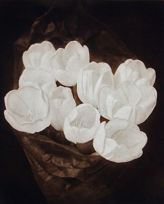 Tulips Bunch II., from Suite II., 1992, traditional copperplate photogravure, plate: 18 7/8x 15 1/2', paper: 30 x 22", edition 20 Suite II"Tulips Bunch II" LB.jpg