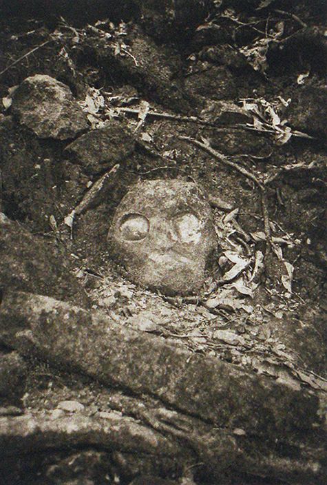 Plate II.,   Skull  In Forrest copan II. LB copy.jpg