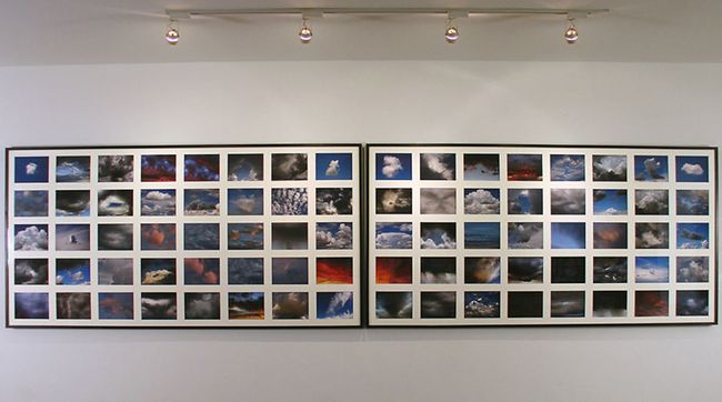 Ephemeral, 2009,  diptych- 80 pigment prints in rag mats, 49 1/4 x 194 1/2", Ed. 3 Ephemeral