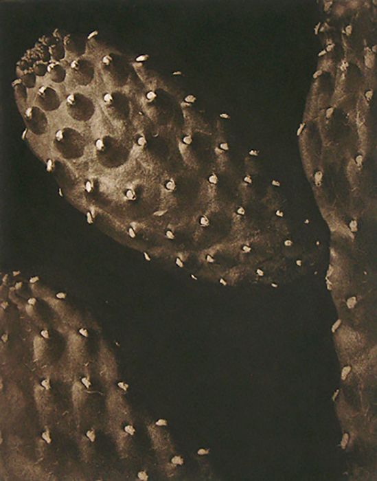 untitled, from Suite "5", 1990, traditional copperplate photogravure, plate: 15 3/4 x 11 3/4"  paper: 28 x 22" edition 30 'Suite 5' 5 LB.jpg