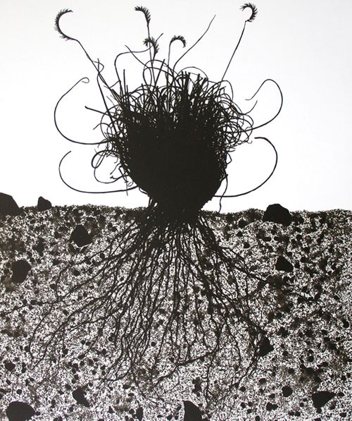 Subjacent I., 2004, photogram, toned  gelatin silver print, 11 3/4 9 3/4", Ed. 15 Subjacent I newLB.jpg