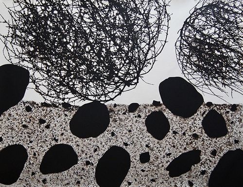 Subjacent XIII, photogram, toned gelatin silver print, 30 x 40" Subjacent XIII.jpg