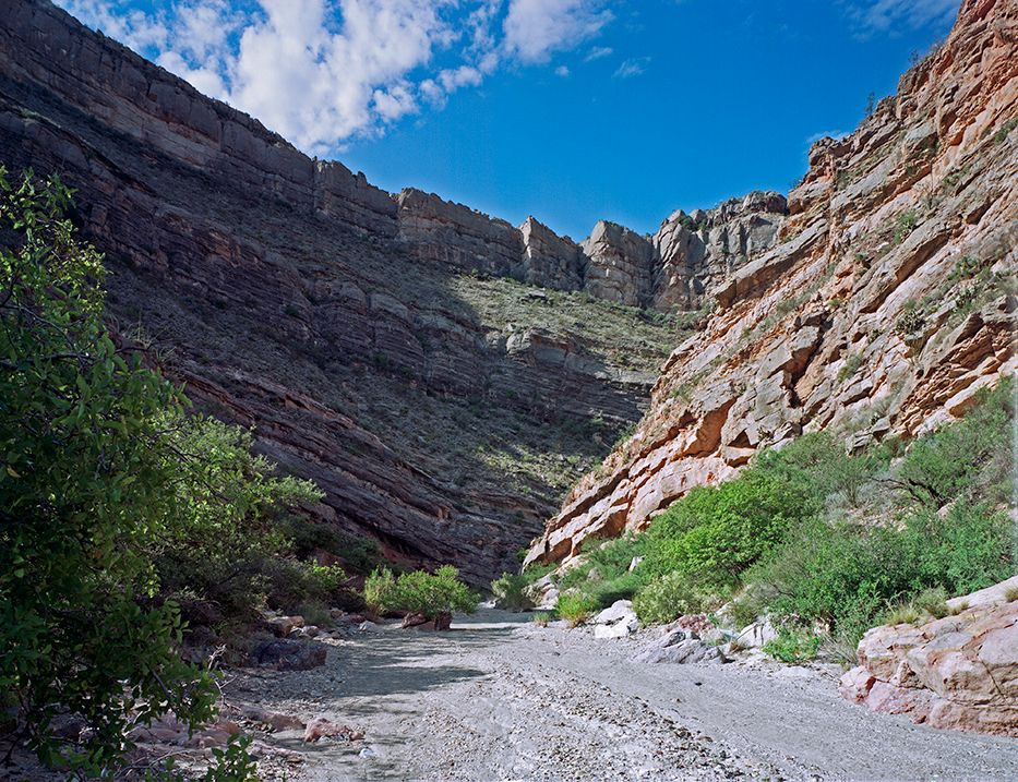 plate: 1009 plate: 1009