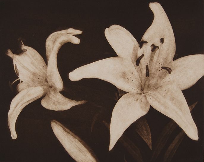 untitled, from Suite "5", 1990, traditional copperplate photogravure, plate: 11 3/4 x 15 3/4", paper: 22 x 28", edition 30 suite 5 3.jpg