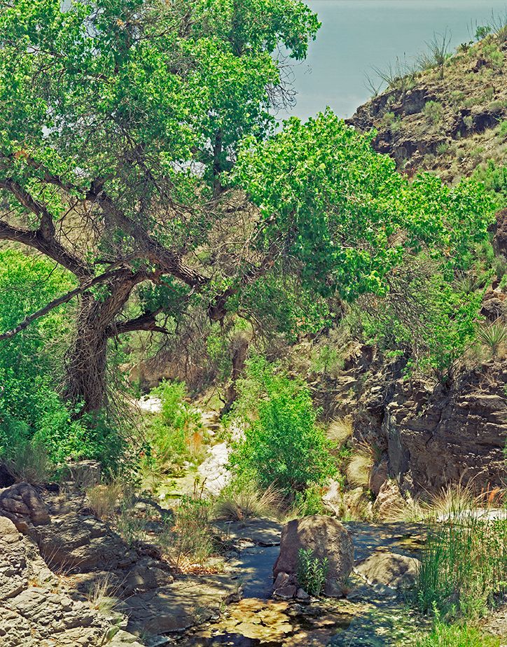 Plate: 1012 plate: 1012