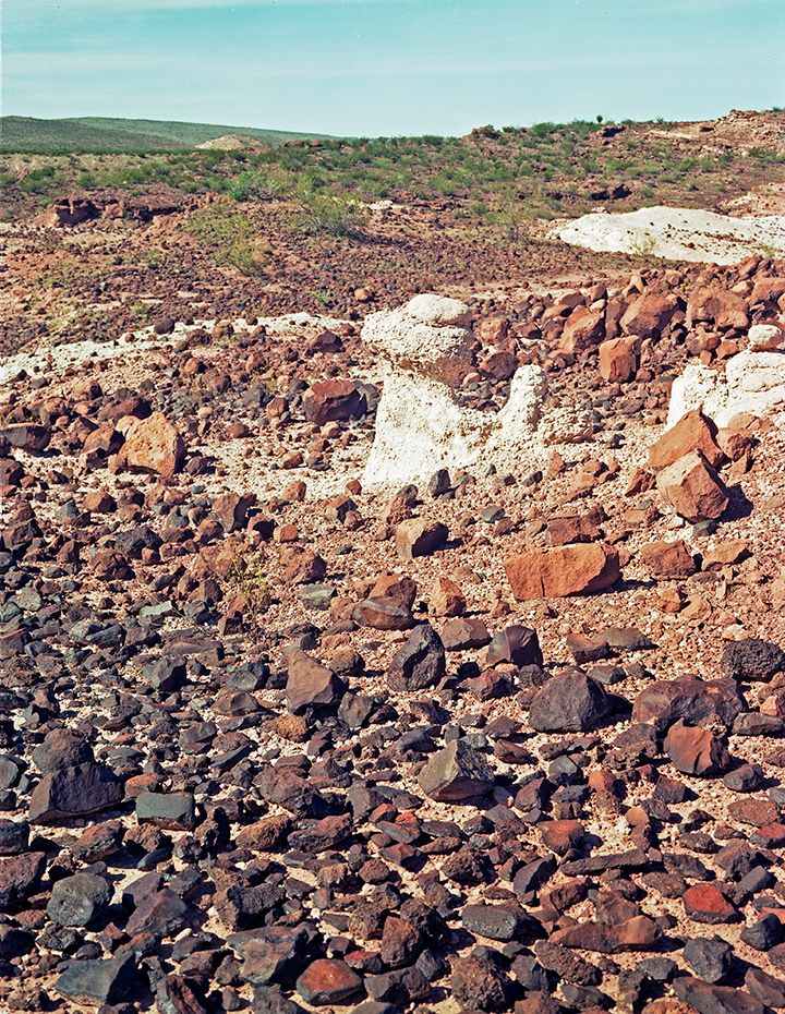 plate: 1005 plate: 1005