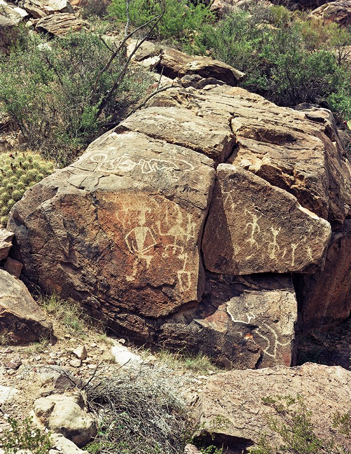 plate: 1028 plate: 1028