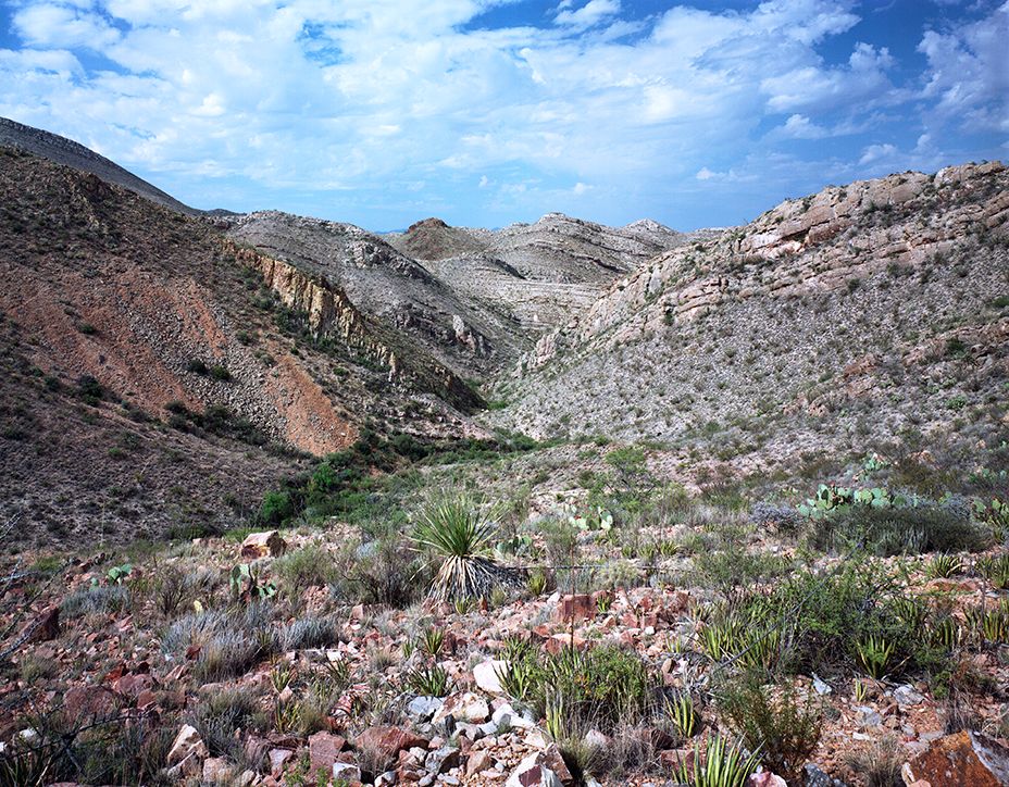 plate: 1008 plate: 1008