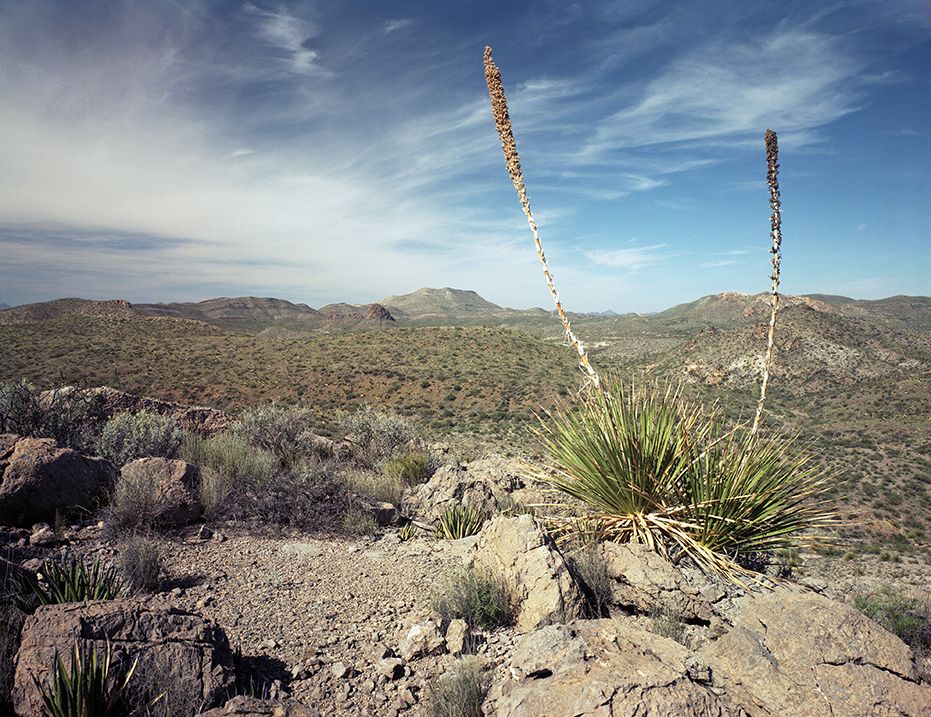 plate: 1030 plate: 1030