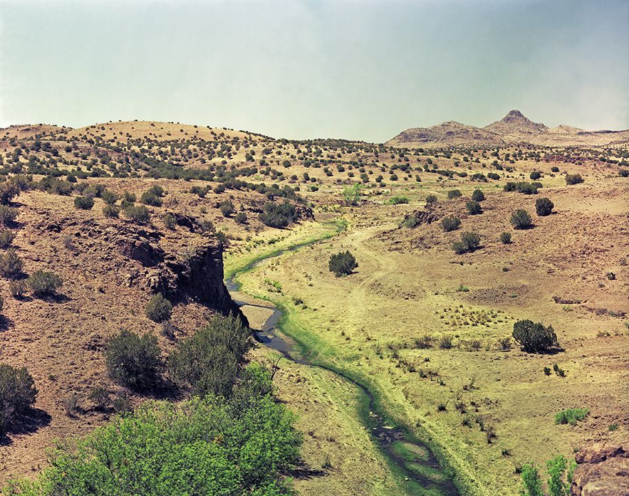 plate: 1033 plate: 1033