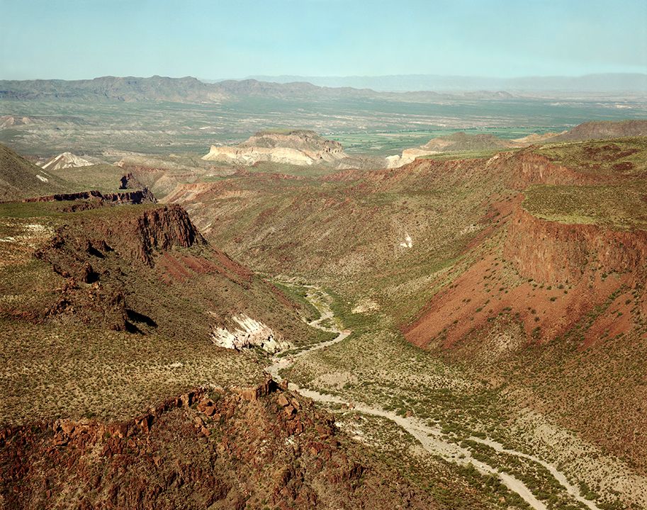 plate: 1038 plate: 1038