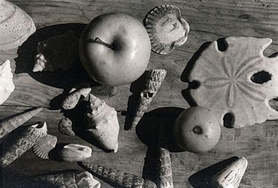 1992, gelatin silver print, image: 2 1/2 x 3 3/4", paper: 5 x 7", edition open Apples And Shells-Mexico