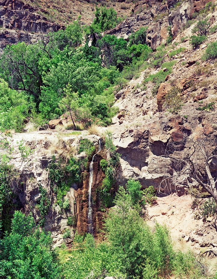 plate: 1010 plate: 1010