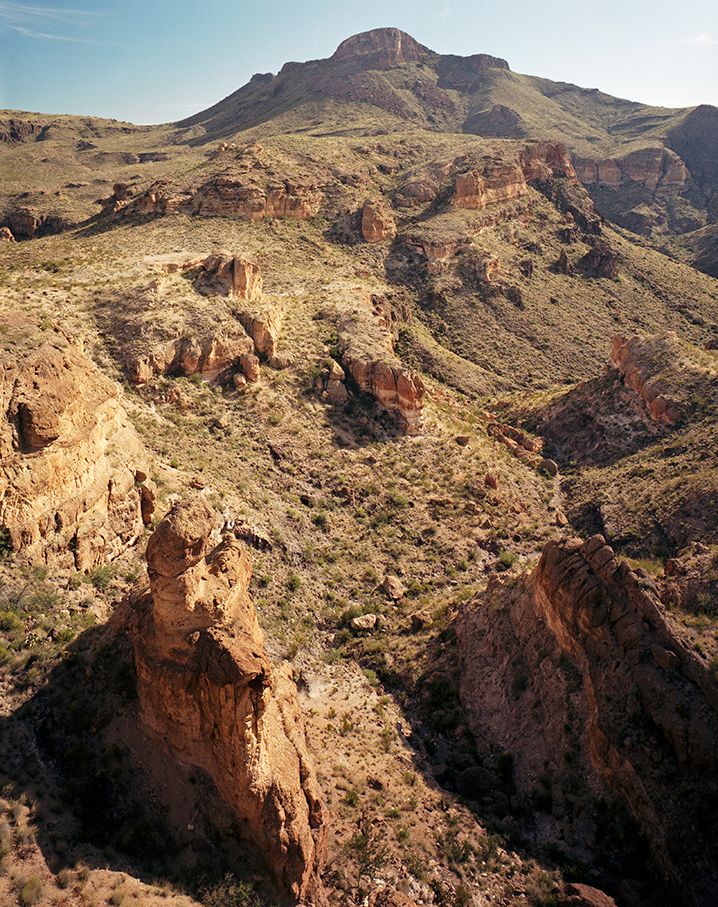 plate: 1054 plate: 1054