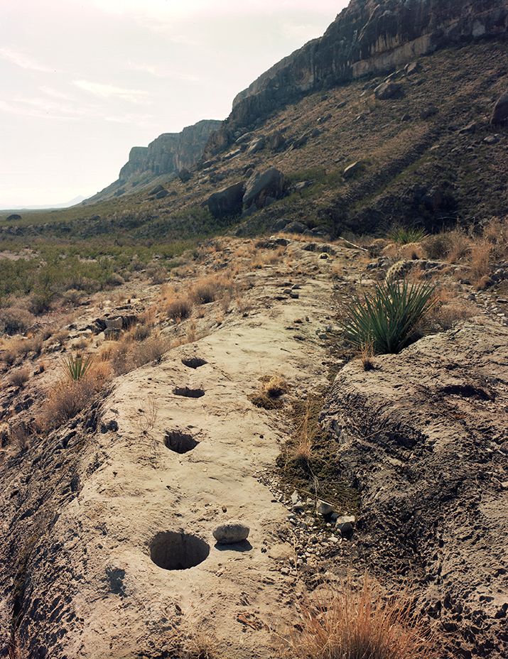 plate: 1023 plate: 1023