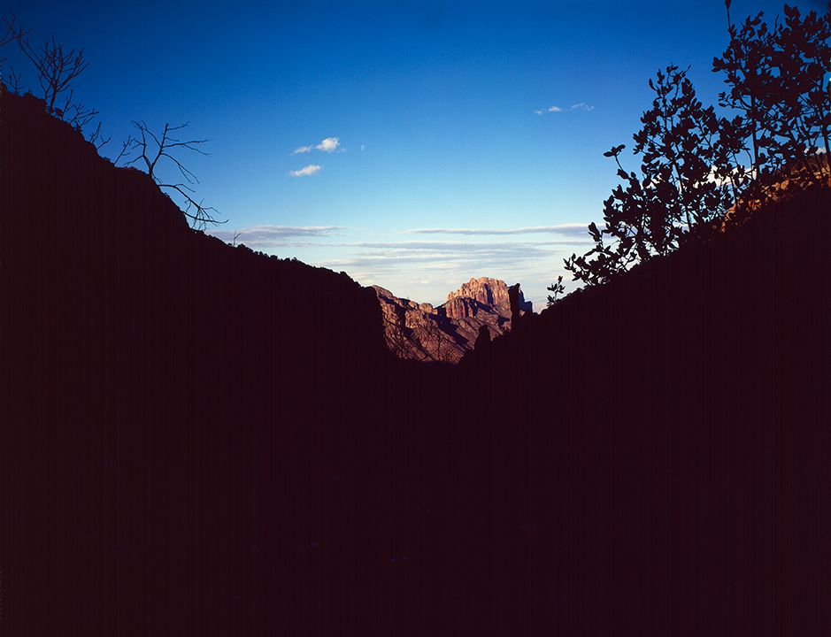 plate: 1001 plate: 1001