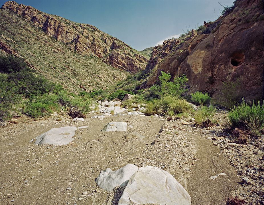 plate: 1036 plate: 1036