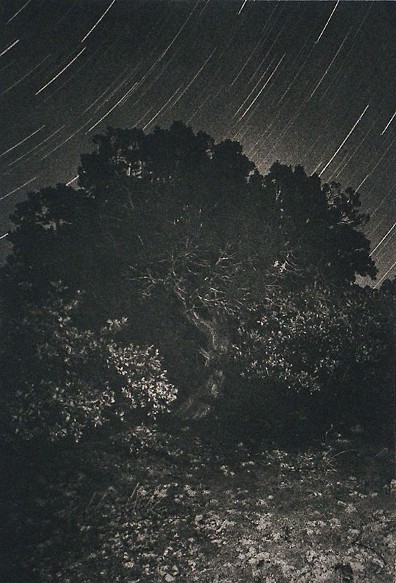 Apache Ridge, 1996, traditional copperplate photogravure   plate: 7 1/2 x 5 1/4"  paper: 15x 11" edition 50 'Apache-Ridge' LB.jpg