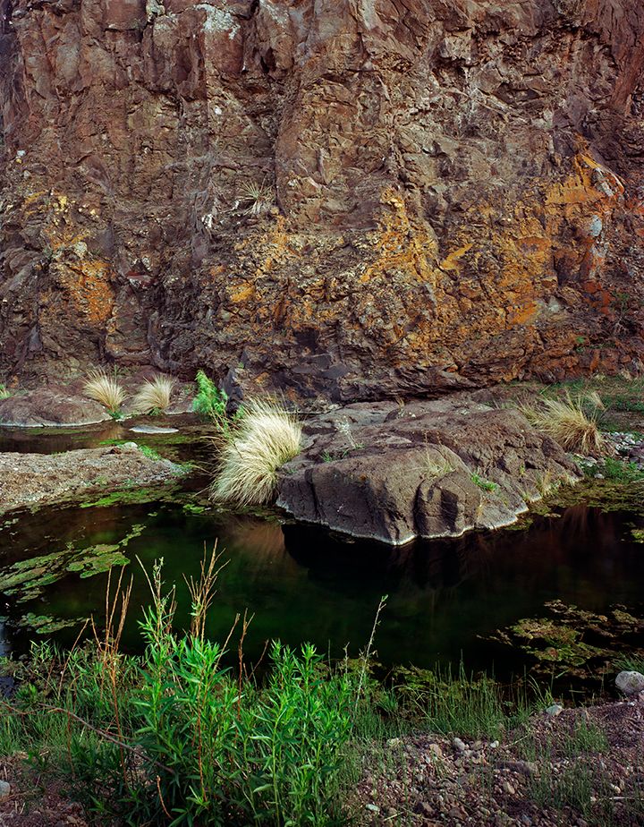 plate: 1022 plate: 1022