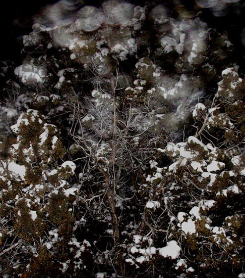 2010, pigment print, 9 3/8 x 8 1/4", edition 20 Frozen Fog