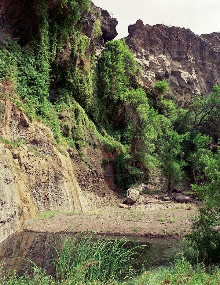 plate: 1013 plate: 1013